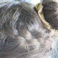 IMG 4789